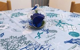 Rosa Blu